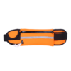 Fanny Pack w/ Custom Branding